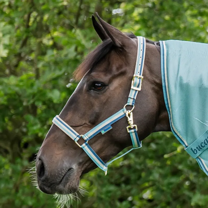 Bucas Dublin Halter - Turquoise