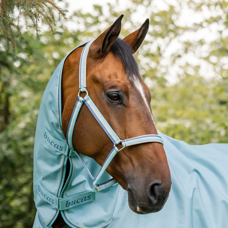 Bucas Dublin Halter - Turquoise-2