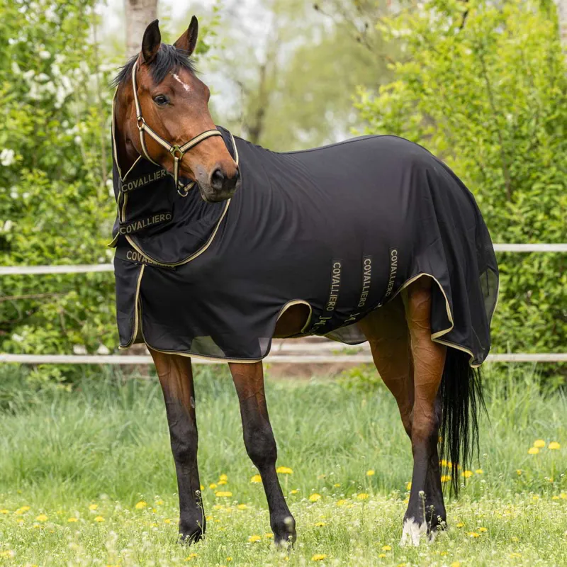 Covalliero Detach A Neck Fly Sheet-Black-1