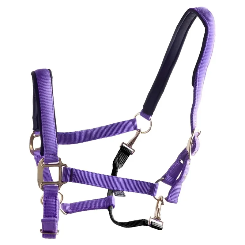 Dever Ascot Synthetic Halter - Purple/Black