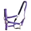 Dever Ascot Synthetic Halter - Purple/Black