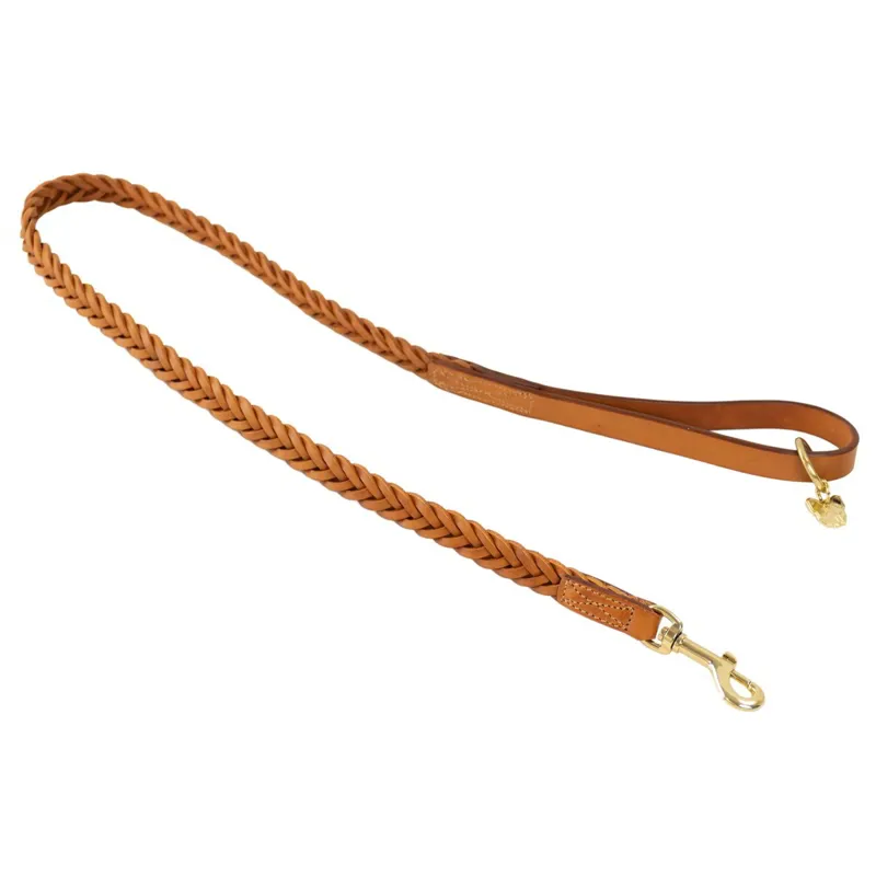 Digby and Fox Plaited Dog Leash - Tan