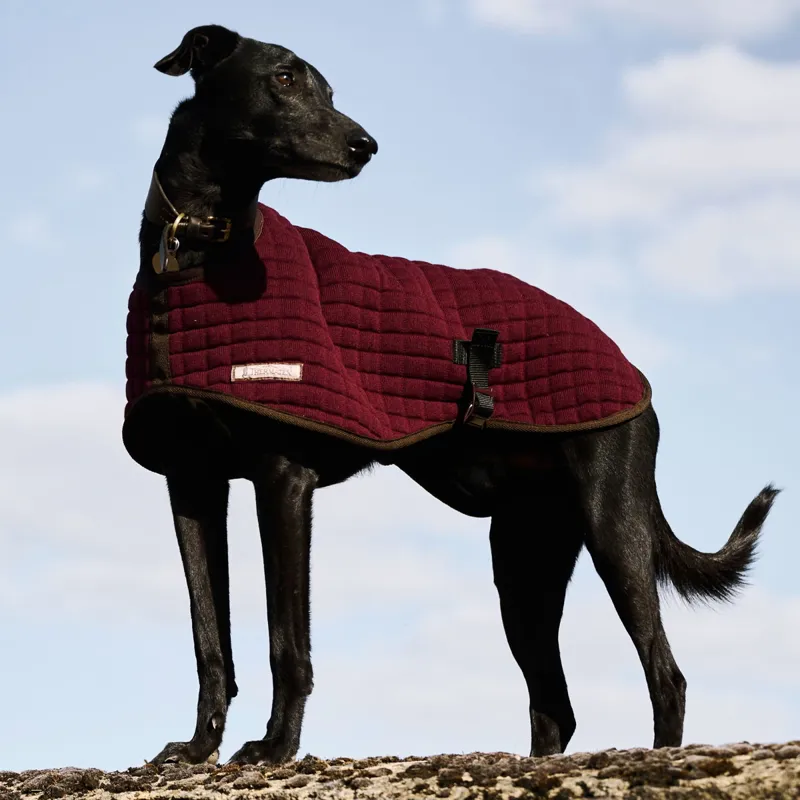 Thermatex Dog Coat - Claret
