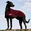 Thermatex Dog Coat - Claret