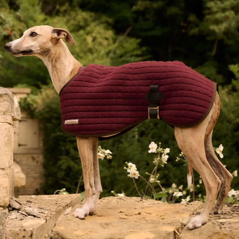 Thermatex Dog Coat - Claret-1