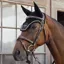 Dy'on Diamond Fly Veil - Black