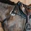 Dyon New English 5-Point Elastic Breastplate - Black