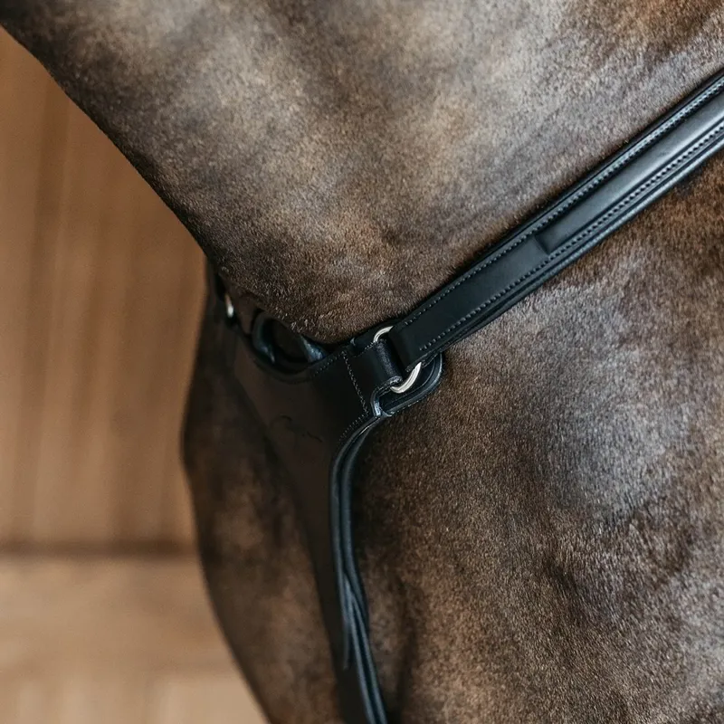 Dyon New English 5-Point Elastic Breastplate - Black-1