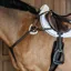 Dy'on New English 5-Point Elastic Breastplate - Brown