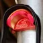 EquiHook Magnetic Bridle Hook - Shiny Red