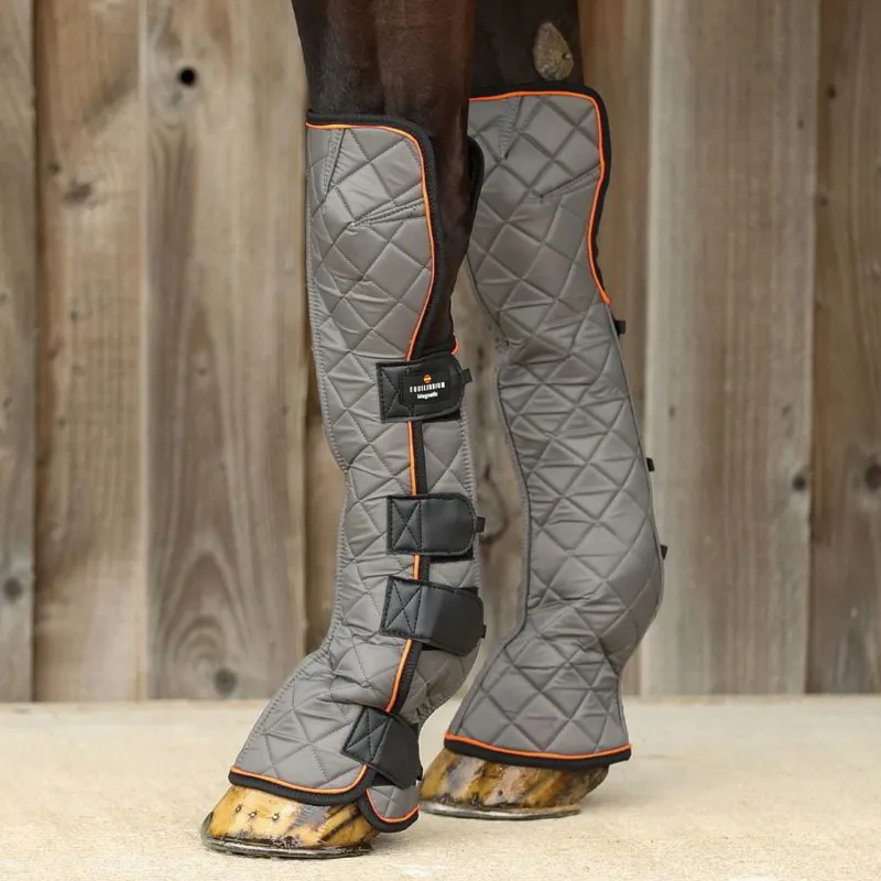 Equilibrium Fore and Knee Magnetic Chaps