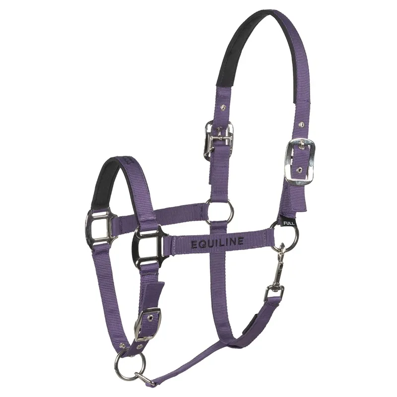 Equiline Cuates Halter and Lead Rope - Patrician Purple