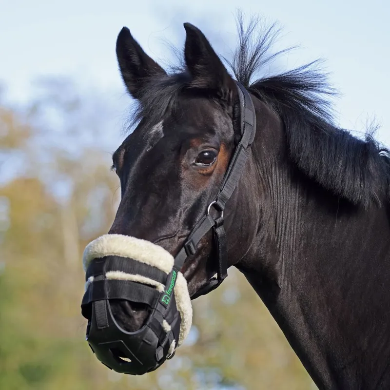 FreeGraze Airflow Deluxe Grazing Muzzle - Black