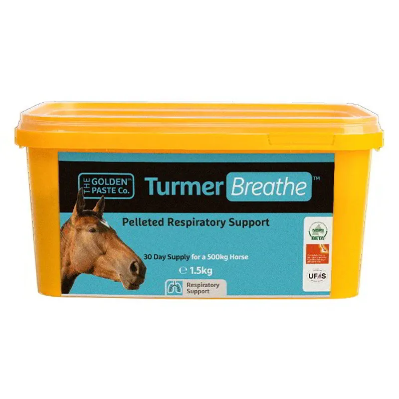 Golden Paste Co. TurmerBreathe