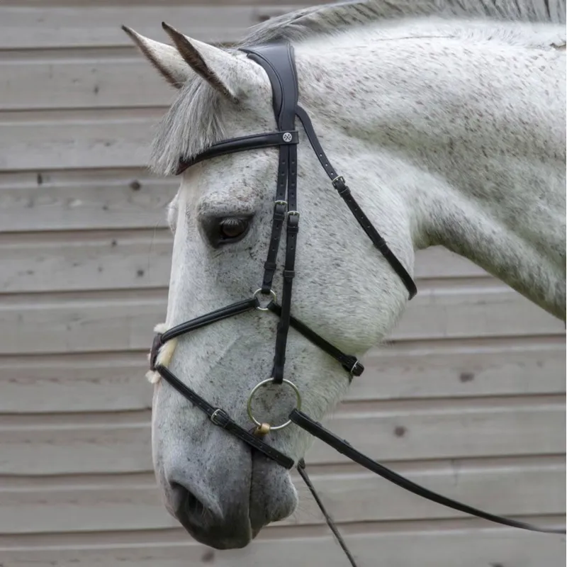 Henry James Mexican Grackle Bridle - Black