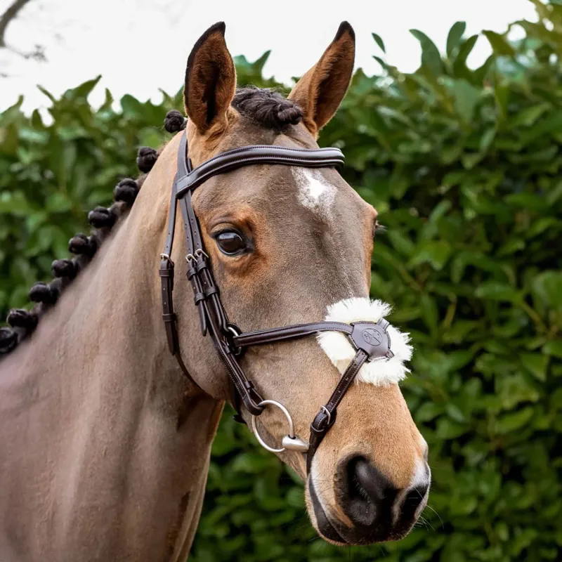 Henry James Figure 8 Bridle - Havana Brown-1