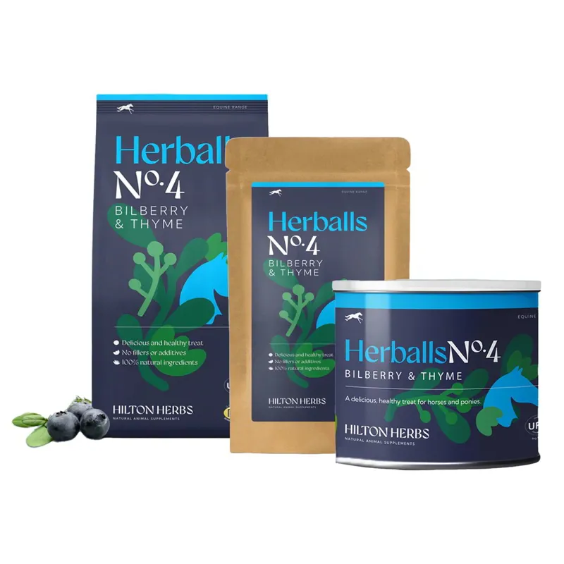 Hilton Herbs Herballs No.4 Treats - Bilberry/Thyme