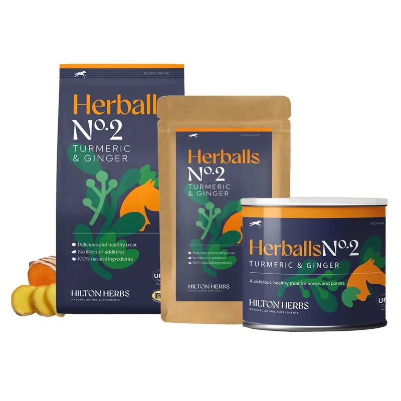 Hilton Herbs Herballs No.2 Treats-Turmeric/Ginger