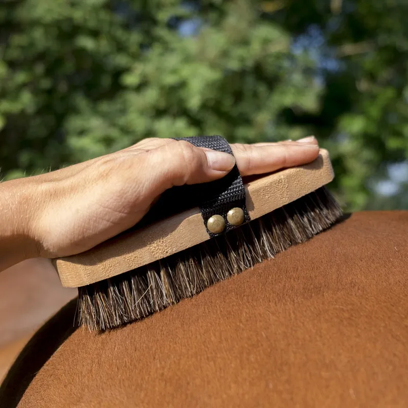 Hippotonic Extra Soft Body Brush-1