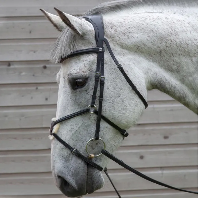 Henry James Build a Bridle - Customization-3