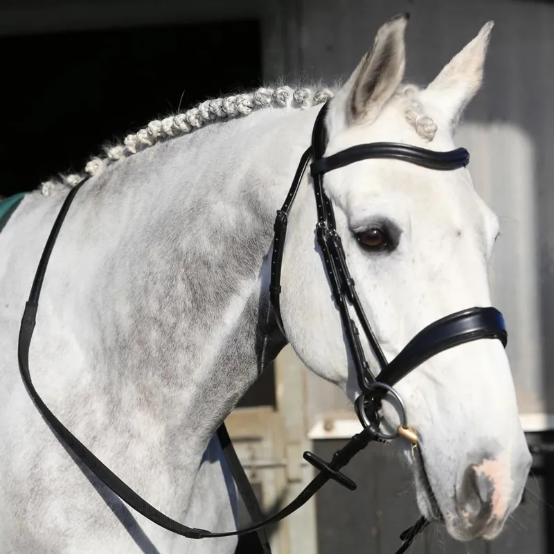 Henry James Build a Bridle - Customization-4