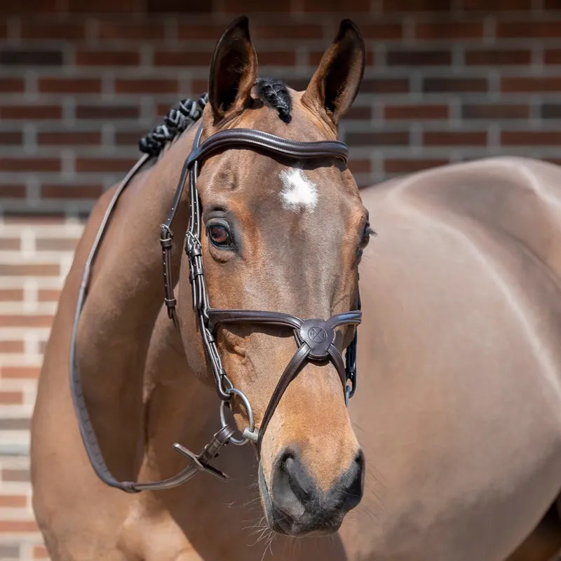 Henry James Build a Bridle - Customization-5