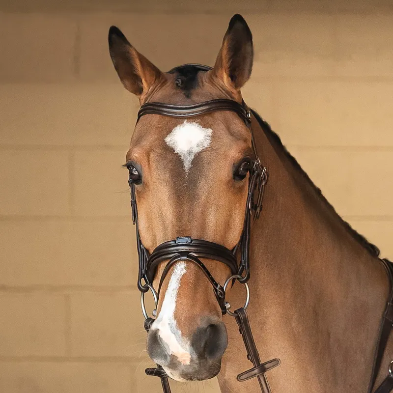 Henry James Build a Bridle - Customization-1