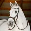 Horseware Micklem Bitless Bridle - Brown
