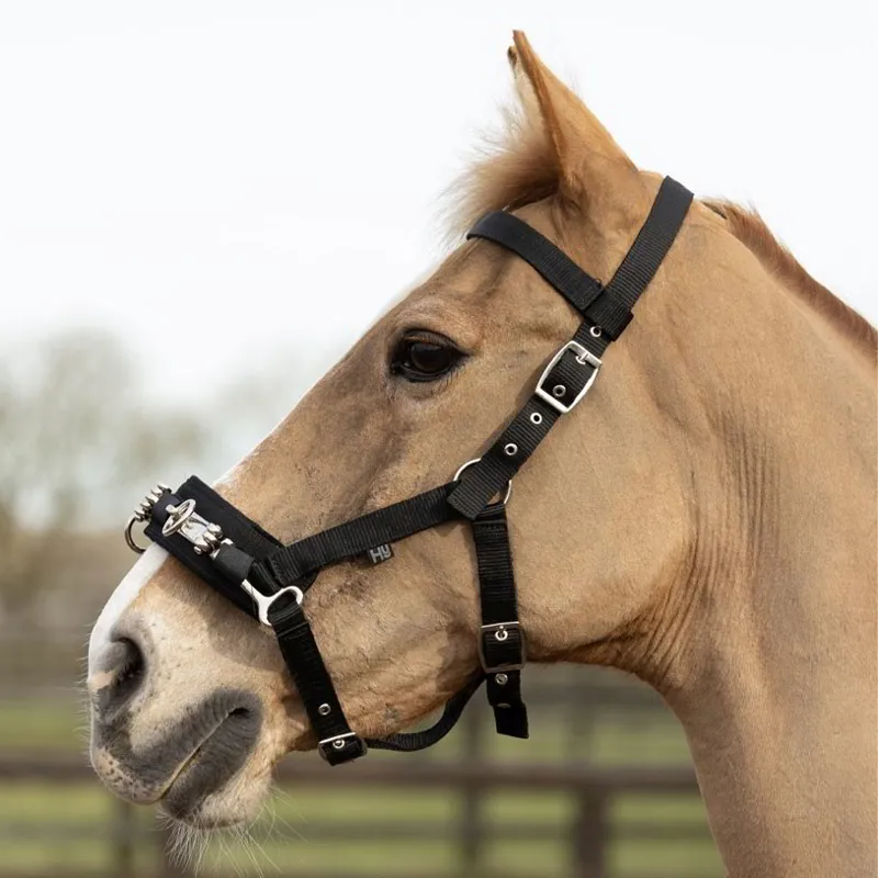 Hy Equestrian Lunge Cavesson - Black