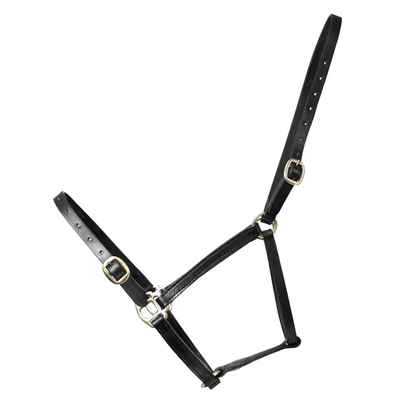 Hy Equestrian Leather Foal Halter - Black