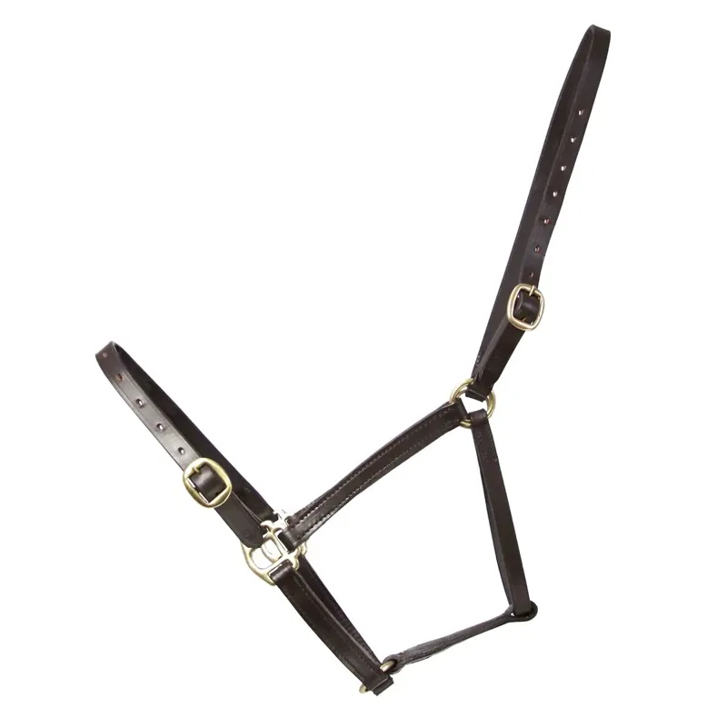 Hy Equestrian Leather Foal Halter - Brown