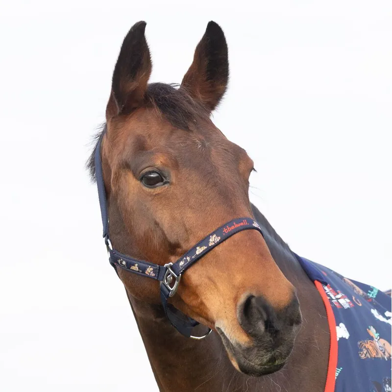 Hy Thelwell Halter and Lead Rope Set - Practice Makes Perfect-3