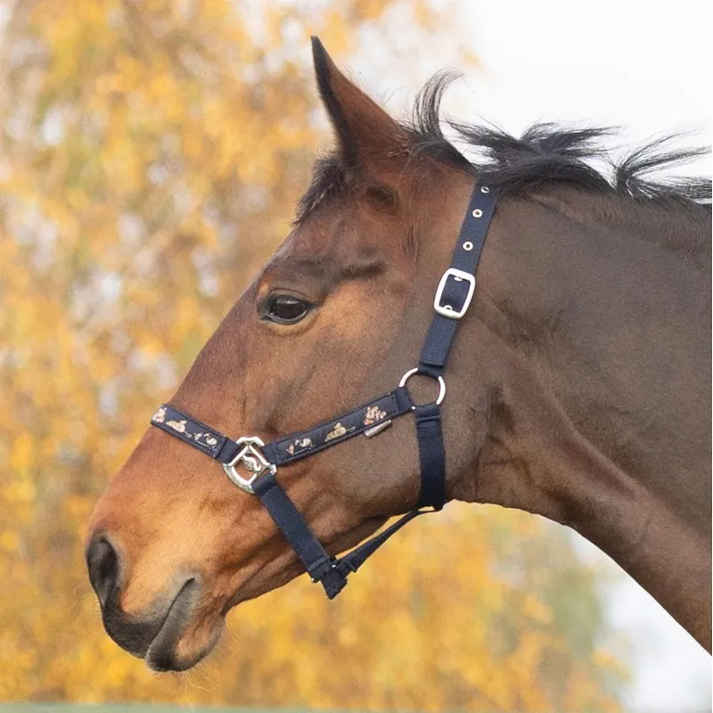 Hy Thelwell Halter and Lead Rope Set - Practice Makes Perfect-1