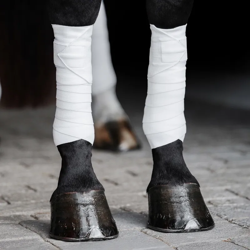 Incrediwear Equine Circulation Exercise Therapeutic Bandages - White