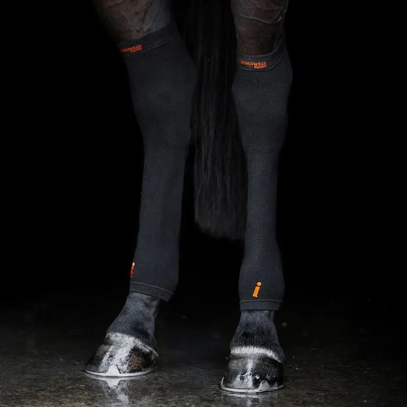 Incrediwear Equine Circulation Hock Sleeves - Black