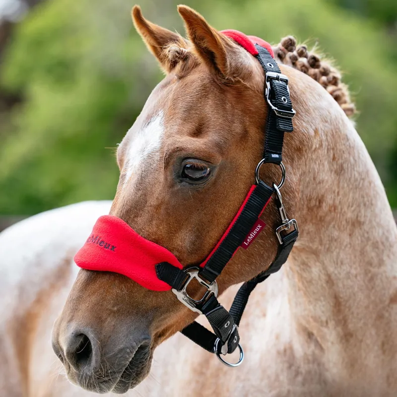LeMieux Vogue Halter and Lead Rope Set - Chilli/Black-1