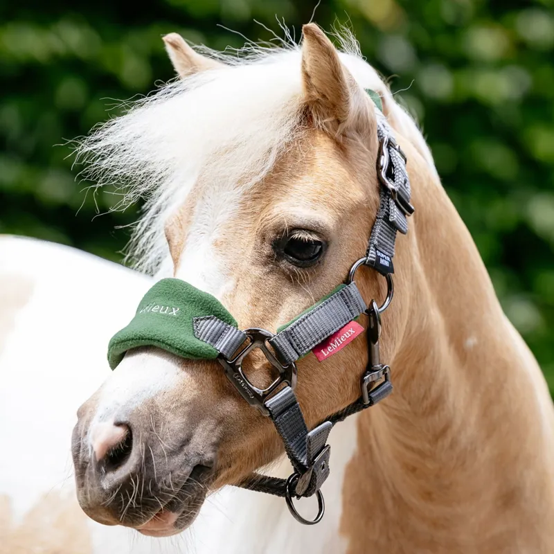 LeMieux Vogue Halter and Lead Rope Set - Hunter Green/Grey-1