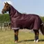 LeMieux Arika Ripstop 600D 200g Detachable Neck Turnout Blanket - Bramble