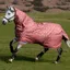 LeMieux Arika Star Detachable Neck 200g Turnout Blanket - Spiced Earth