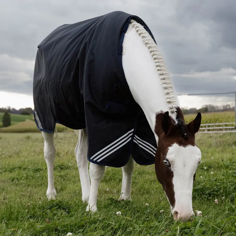 Kentucky All Weather Comfort 0g Turnout Blanket - Navy