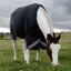 Kentucky All Weather Comfort 0g Turnout Blanket - Navy