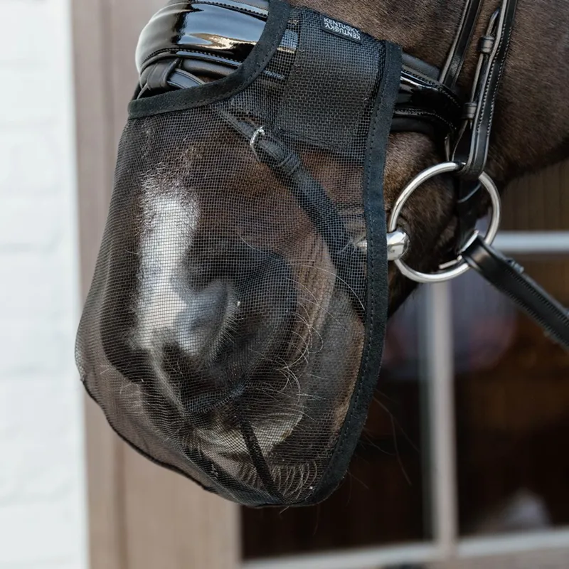 Kentucky Anti-Fly Nose Net - Black-1