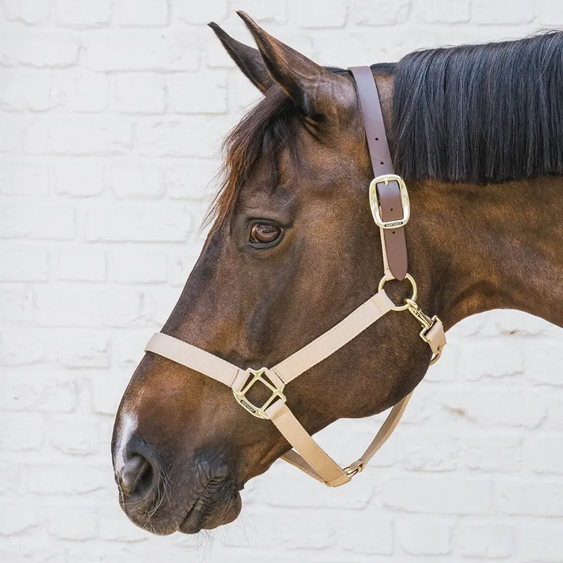 Kentucky Horsewear Nylon Breakaway Safety Halter - Beige/Brown