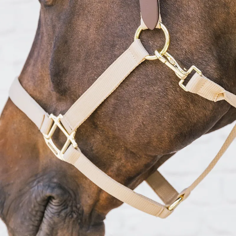 Kentucky Horsewear Nylon Breakaway Safety Halter - Beige/Brown-1