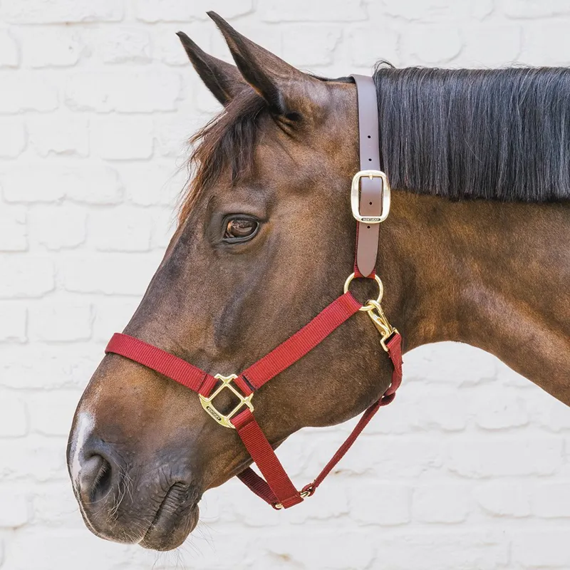 Kentucky Horsewear Nylon Breakaway Safety Halter - Bordeaux/Brown