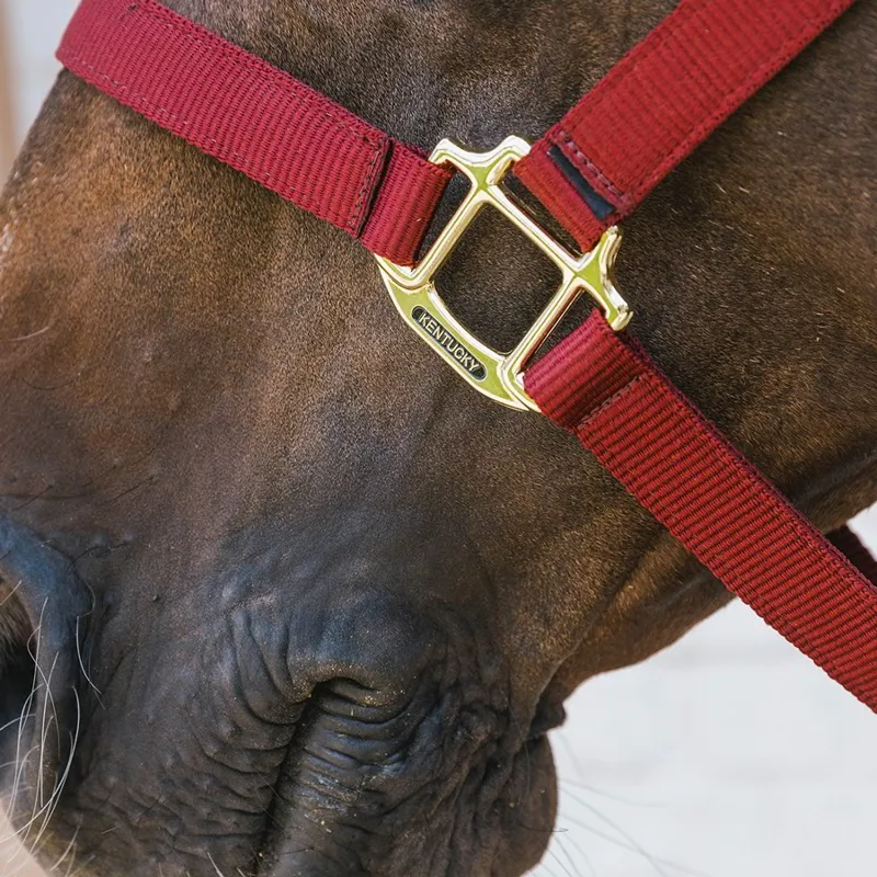 Kentucky Horsewear Nylon Breakaway Safety Halter - Bordeaux/Brown-1