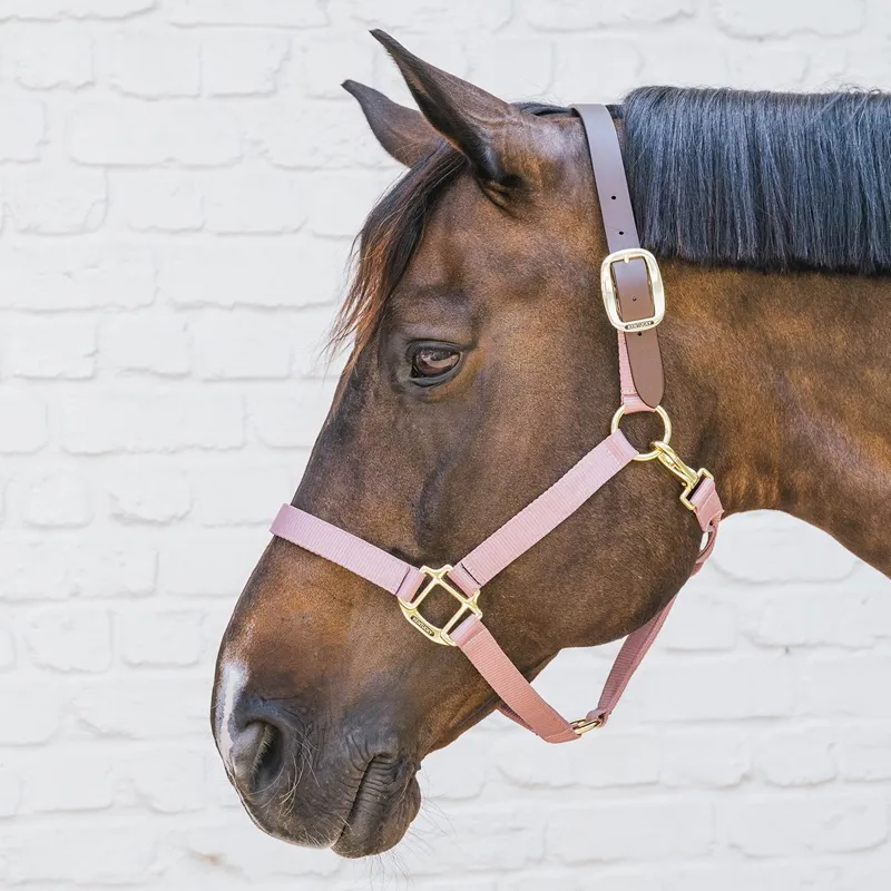 Kentucky Horsewear Nylon Breakaway Safety Halter - Old Rose/Brown
