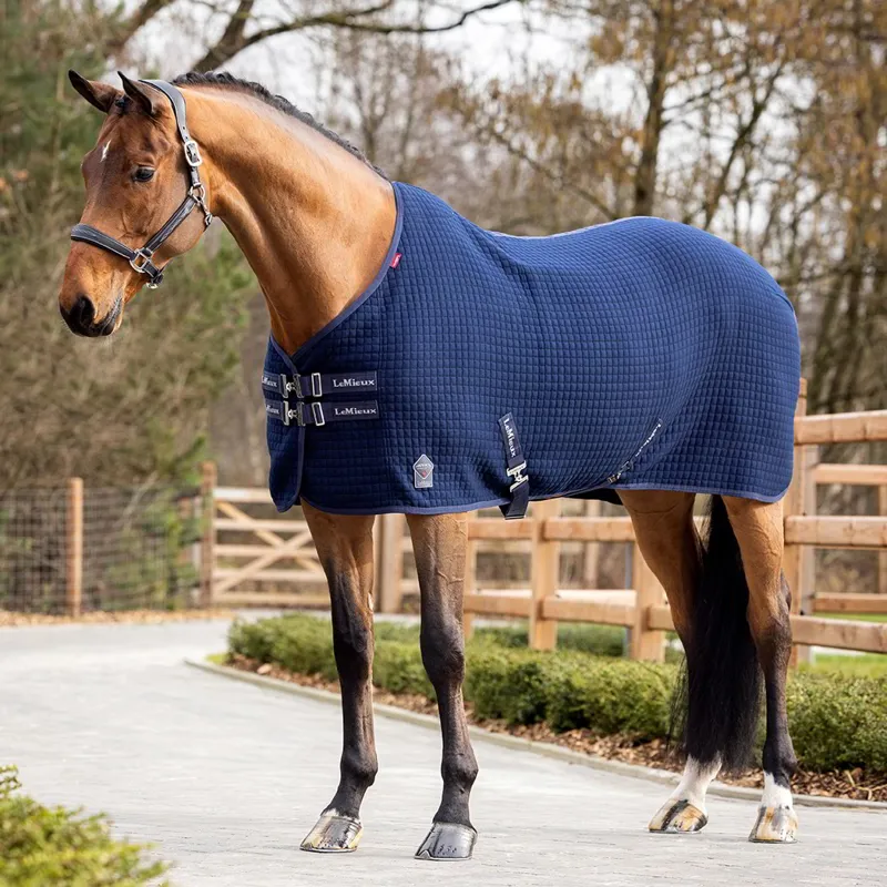 LeMieux Arika Clima-Tek Sheet - Navy