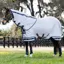 LeMieux Arika Armour-Tek Detachable Neck Fly Sheet - Grey