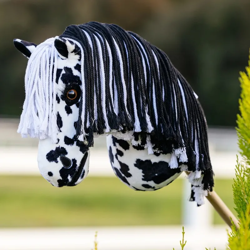 LeMieux Hobby Horse Toy - Dakota-1